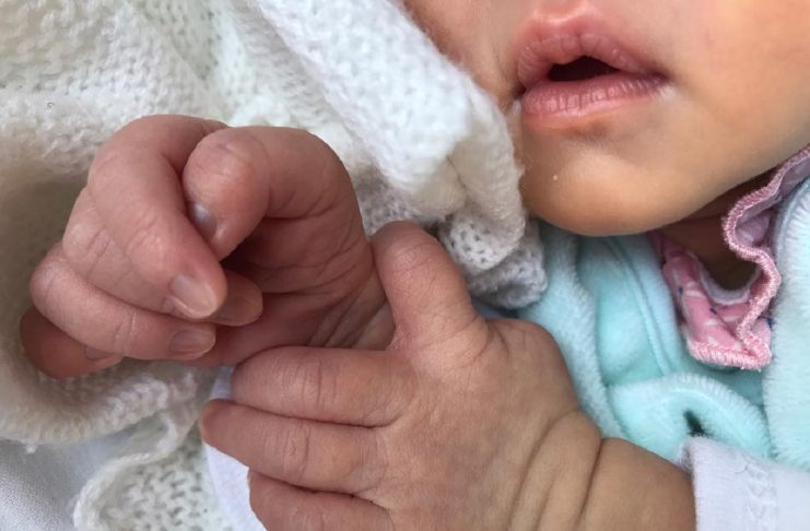 22221246_125685711486217_795148388092870656_n