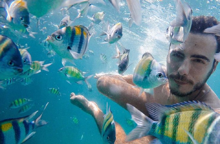 19051394_1587994344544019_2036873456850567168_n