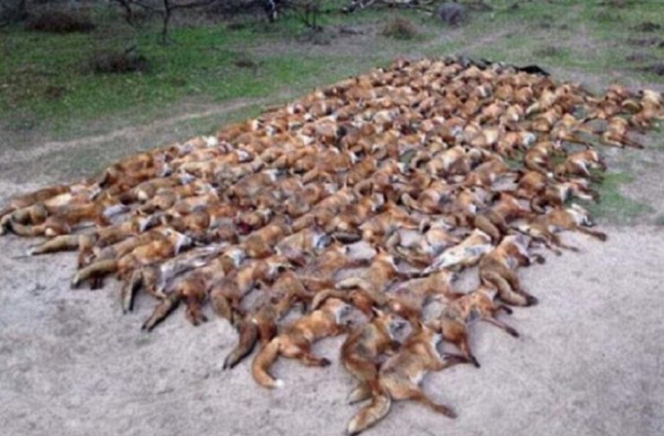 42A2E24700000578-4724742-image-a-58_1500898356306