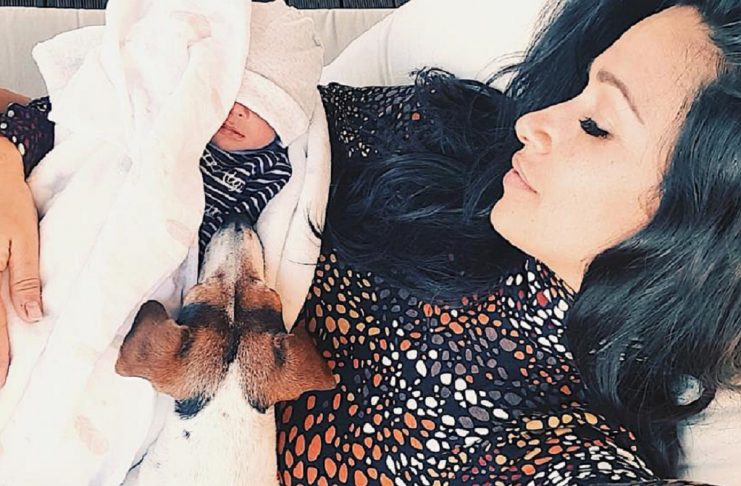 46977219_1452433524893074_7503562674588703494_n