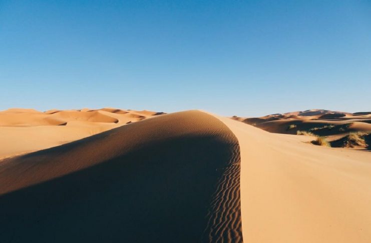 23416508_173210566596335_2614459533535215616_n