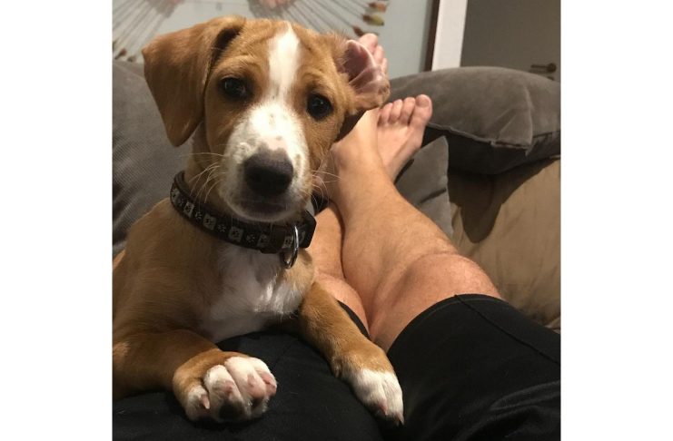 41490345_172028043674535_2751815651458218709_n