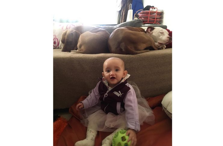 26872423_1395646010563143_5706136439561912320_n