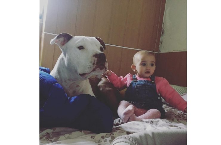 27582103_1346990578779800_3267128897048674304_n