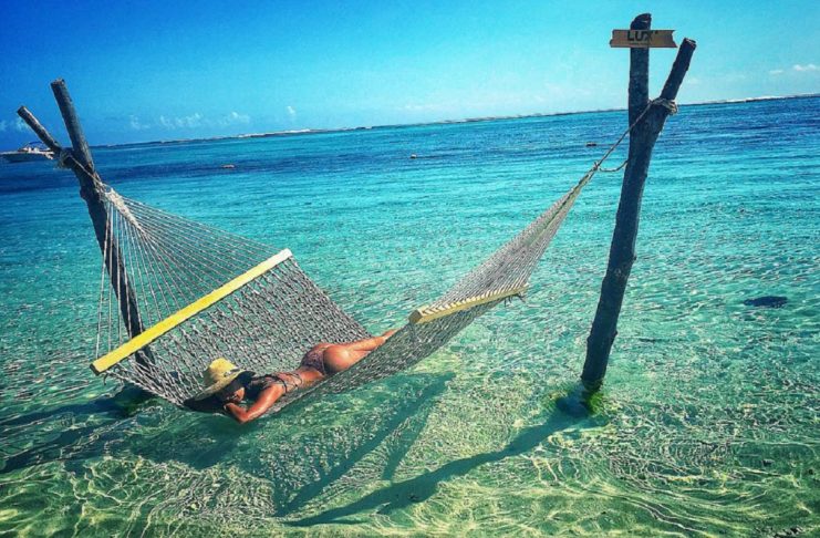 33721639_205644486725781_1485781603190833152_n