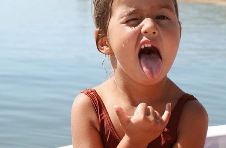 42078466_233017994227134_5313633638398241384_n