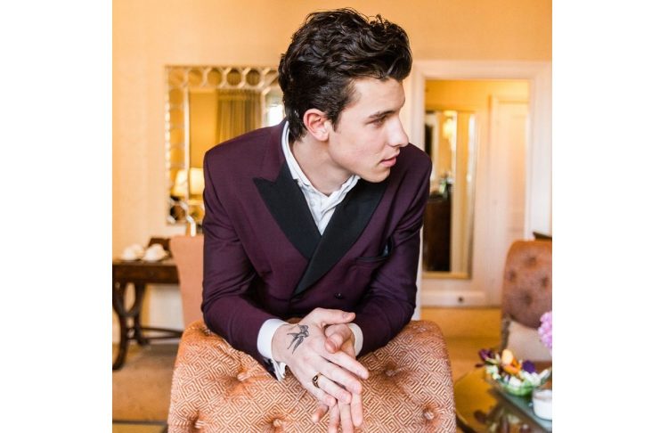 shawn mendes 2