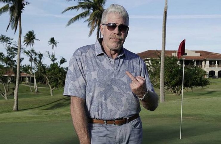 26383245_523631264702151_2894949334942482432_n