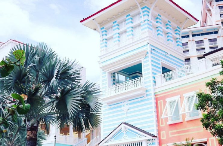 33559768_222138128590789_7488575711674892288_n