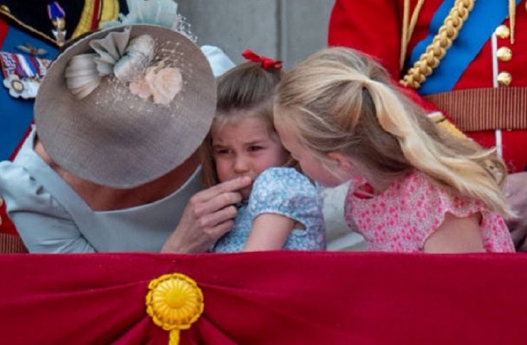 33992183_237194730380665_6423059222493134848_n