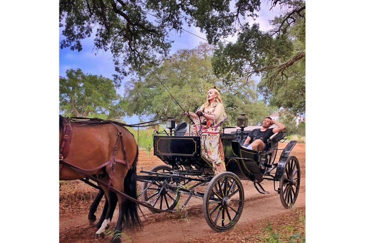 35998769_227516031194548_1955773560790188032_n