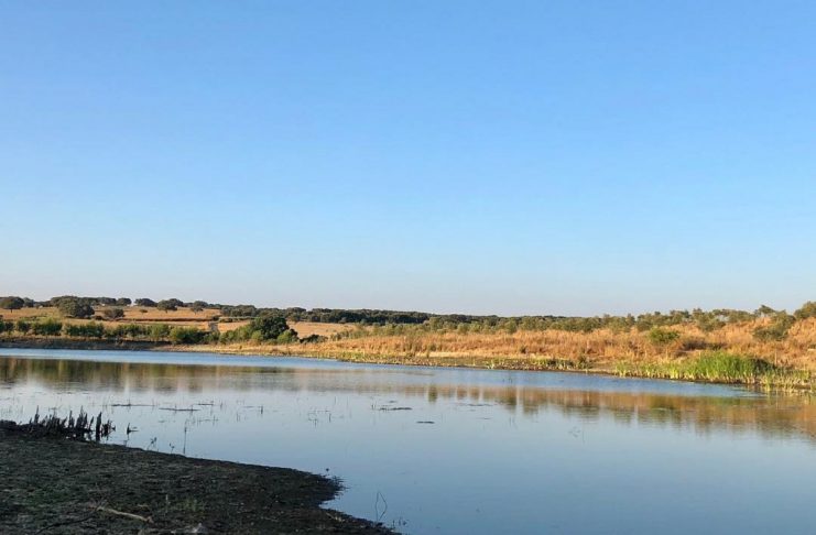 35999451_217557002206903_7904991061812969472_n