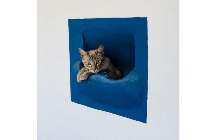 36680429_1600110176766215_6145239550714183680_n