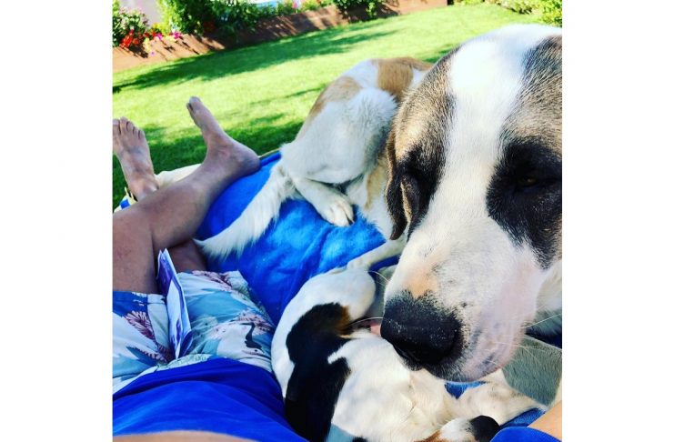 36871119_2085485185033687_7323724812335972352_n