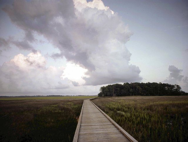 Hampton Island Original (22)