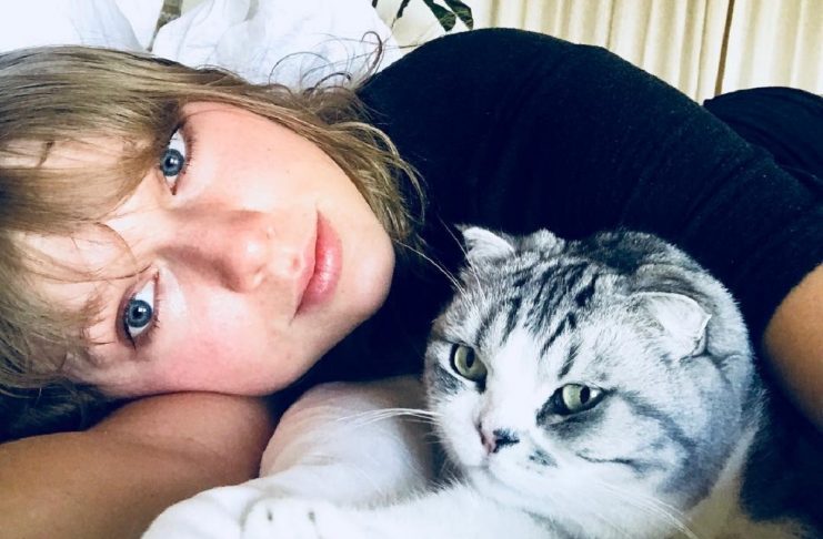 taylor swift gato