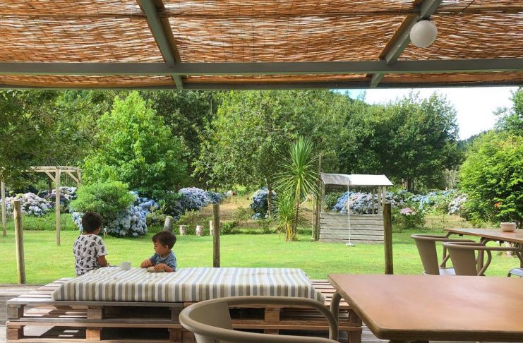 37591055_247078089235132_6557736585008250880_n