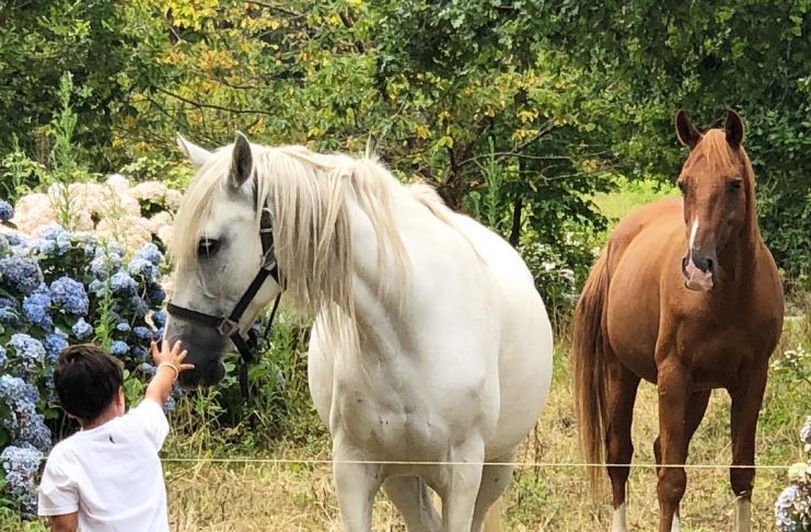 37862562_190358638502249_1893587652729372672_n