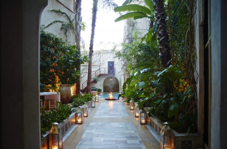 ELFENN.PHASE3651-1920×1443 (1)