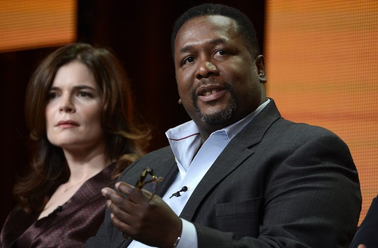 Betsy Brandt and Wendell Pierce participate in a panel for “The Michael J. Fox Show” during the NBC sessions at the Television Critics Association summer press tour in Beverly Hills, California