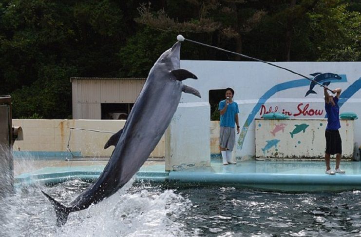 4F74CF3D00000578-6105121-image-a-10_1535448255344