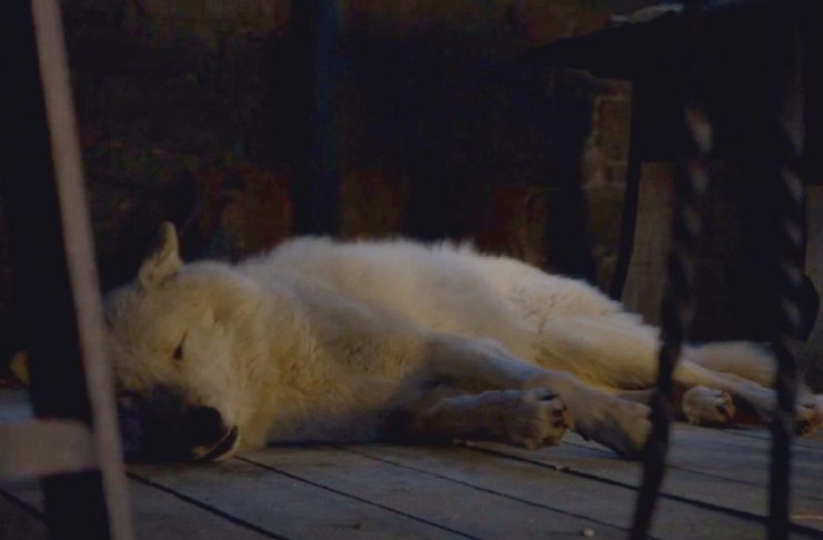 296dcac2-7d9f-46b4-bf68-09cc967f6ad5-122c4ee5-cbef-42a1-8a29-97bd91dab448-ghost