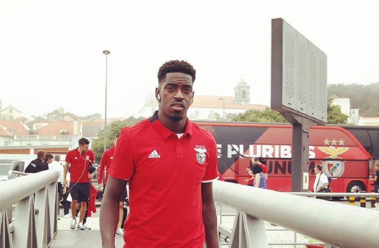 36136743_431585547320612_3128124848904077312_n