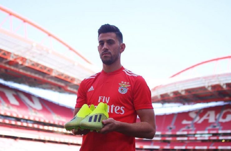 37405319_497013700724468_314927484841754624_n