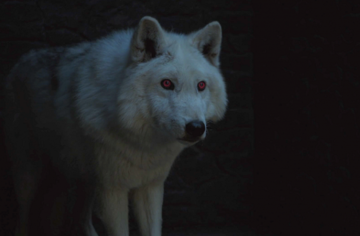 44f231ba-4094-4bc8-a202-c52de9c9f269-screen-shot-2017-08-04-at-102750-am