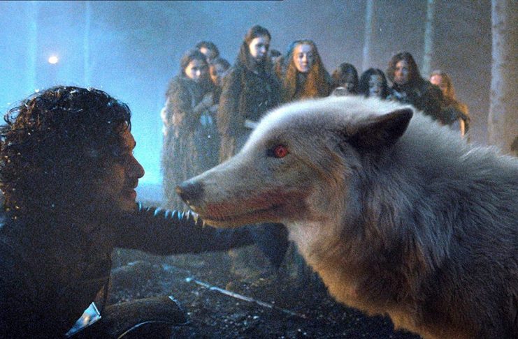 MV5BN2JlMTk1ZWItNjY0My00ODgxLTg0YzQtM2Y4ZWQ4ZThmOWVlXkEyXkFqcGdeQXVyNDUzOTQ5MjY@._V1_SX1777_CR0,0,1777,999_AL_