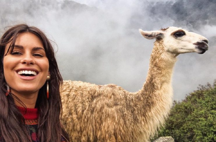 42948812_2023535634373797_459148365015068859_n