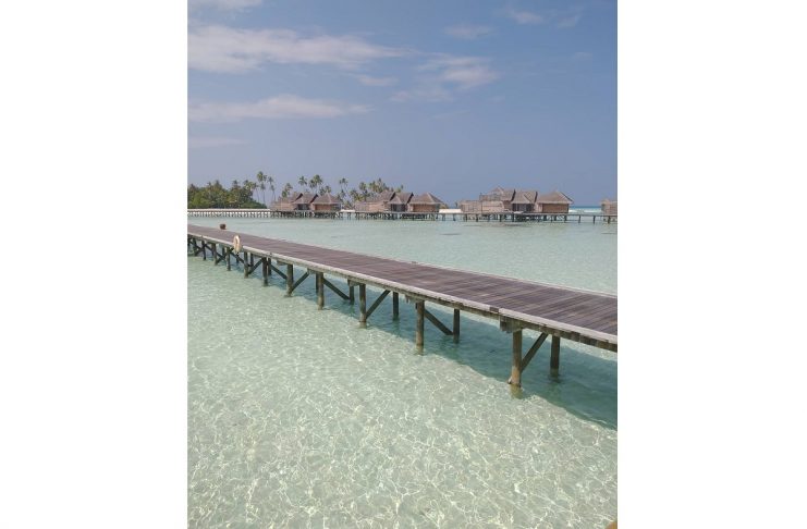 47694022_226227434930640_7666095426585182413_n