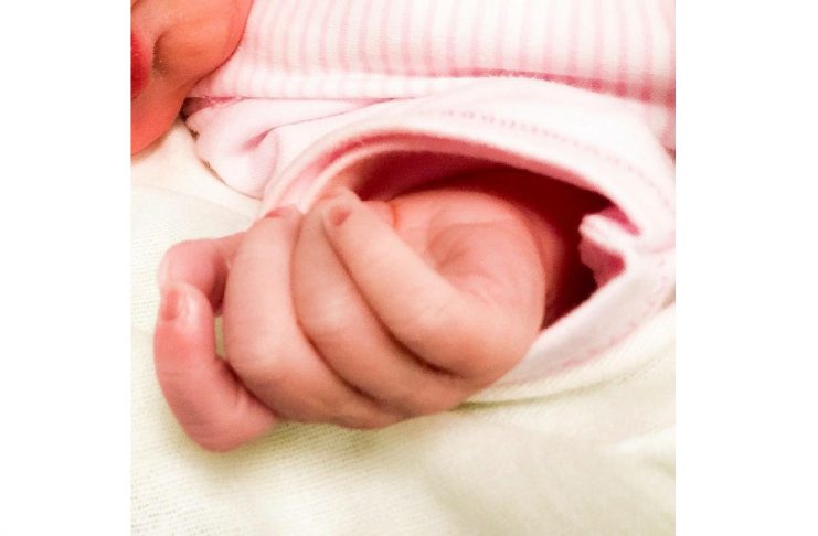 13649292_751058568366996_350015447_n