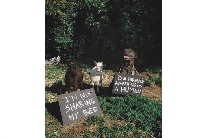 50070558_373493676533731_3800622953619271270_n