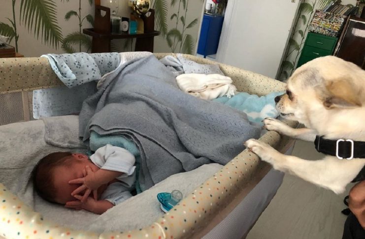 64517819_1095281927333266_1658076604204609615_n