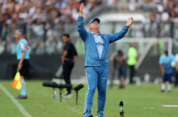 Brasileiro Championship – Vasco da Gama v Palmeiras