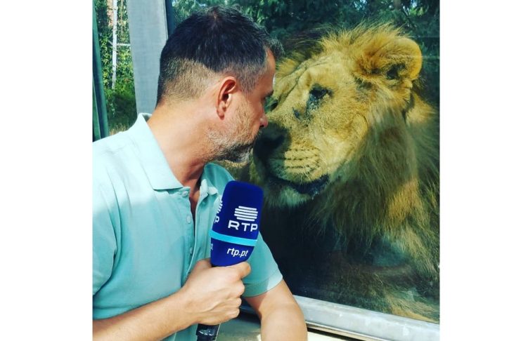 43271492_1190379021115855_6613159730838341415_n