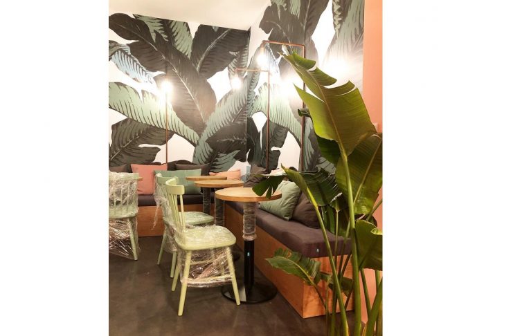 49521278_580810432342773_6436660639660563392_n