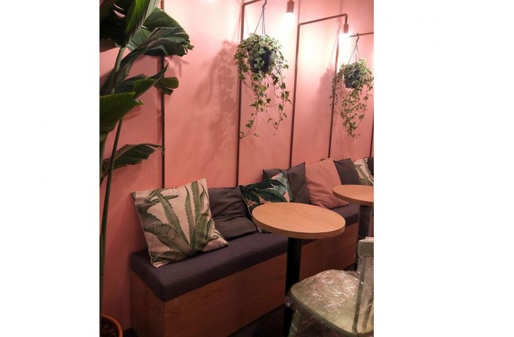 49907231_2207918605912965_4120946405613832730_n