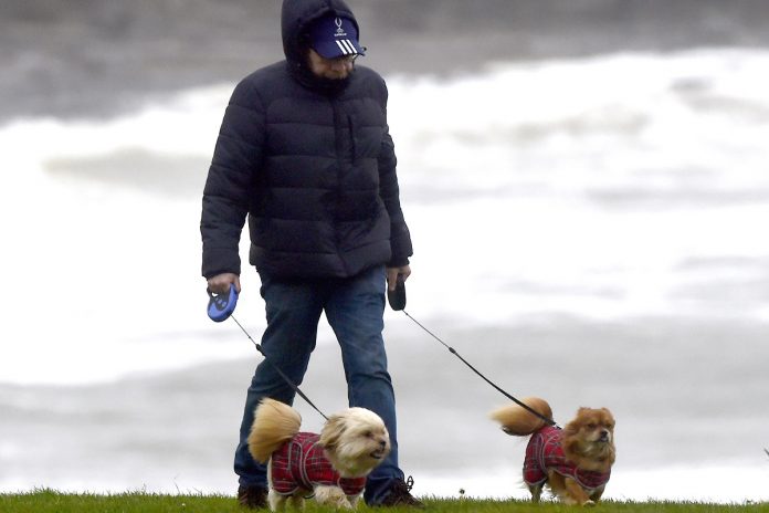 A man takes his two dogs for a walk at Porthcawl, Wales