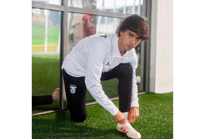 47107217_2308343179396432_8181429734034166871_n