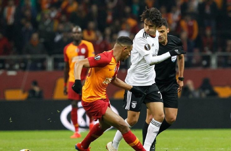 50917180_247620909460409_2617223249264537688_n