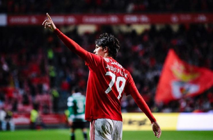 51383611_292413414782640_4677768346180487939_n