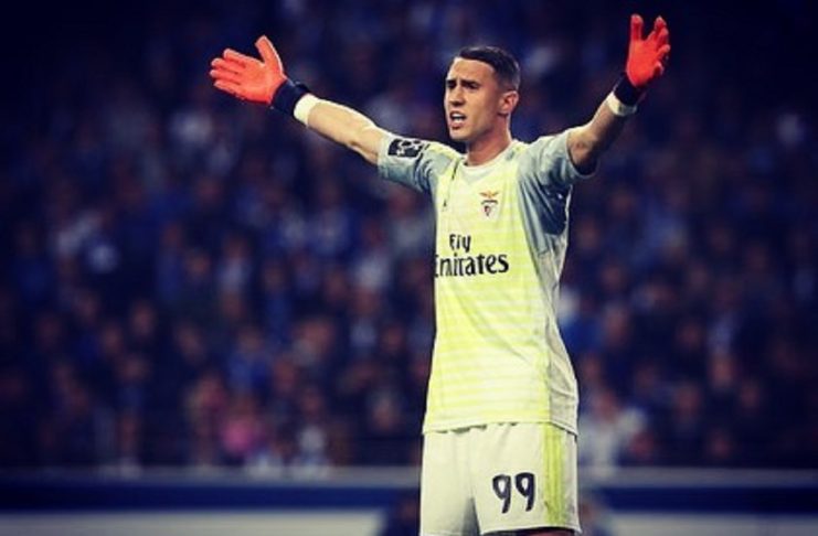 52878159_620755488378150_7584340458038342409_n