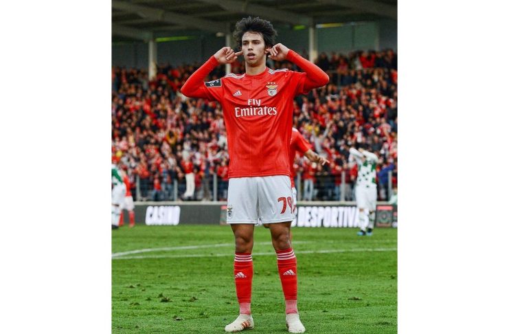 53020536_345949832703724_441603672792667863_n