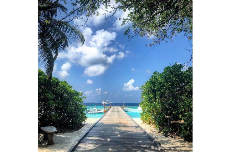 53430103_562285387600358_3875291163205488706_n