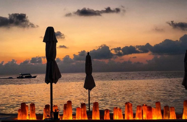 53552049_253715558917062_4782136681961437640_n