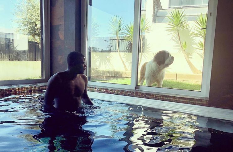 53742714_545149729339679_4316891066152383627_n