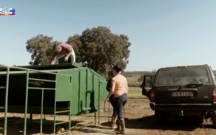 Screen Shot 2019-04-06 at 18.06.44