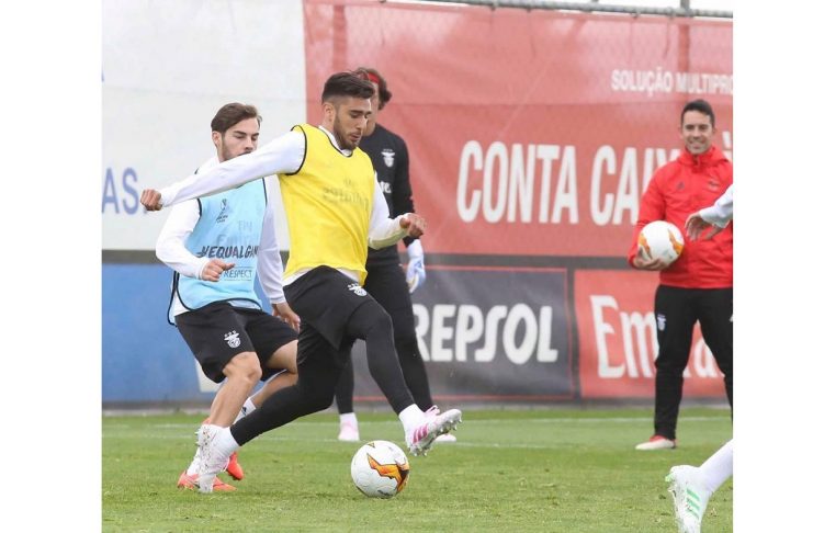 55727231_429387591141220_1957476638144525241_n